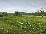 valley forge